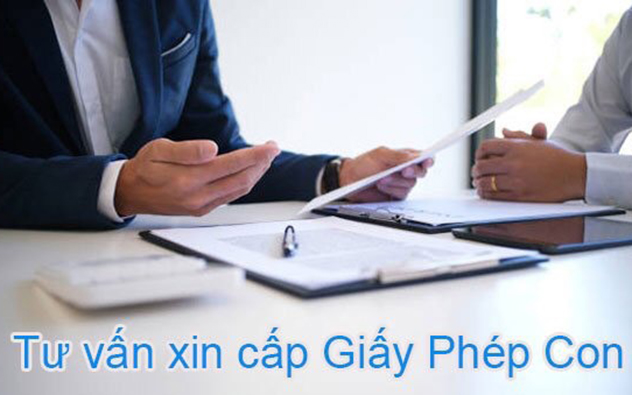 GIẤY PHÉP CON